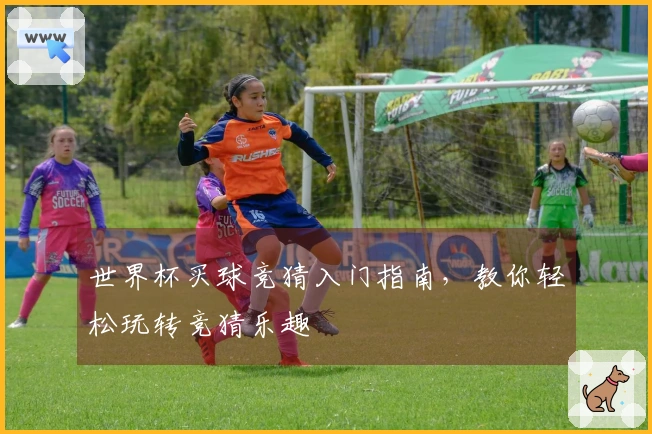 世界杯买球竞猜入门指南，教你轻松玩转竞猜乐趣