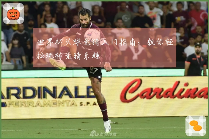 世界杯买球竞猜入门指南，教你轻松玩转竞猜乐趣
