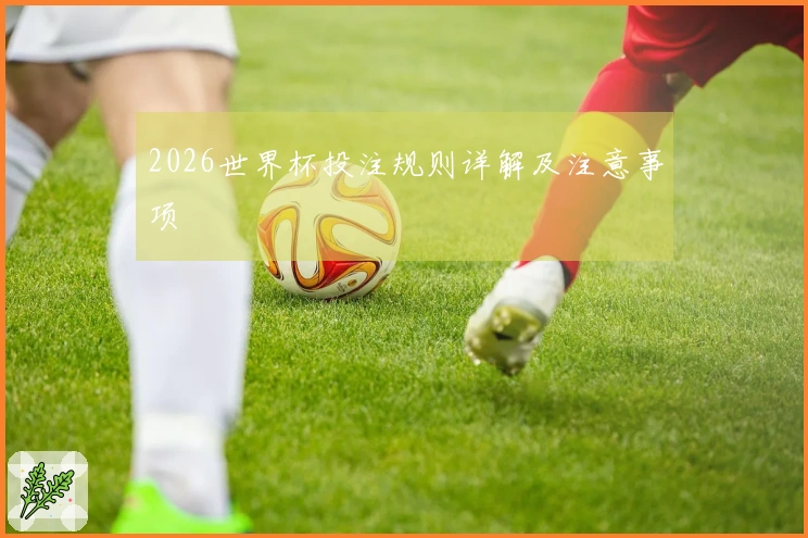 2026世界杯投注规则详解及注意事项