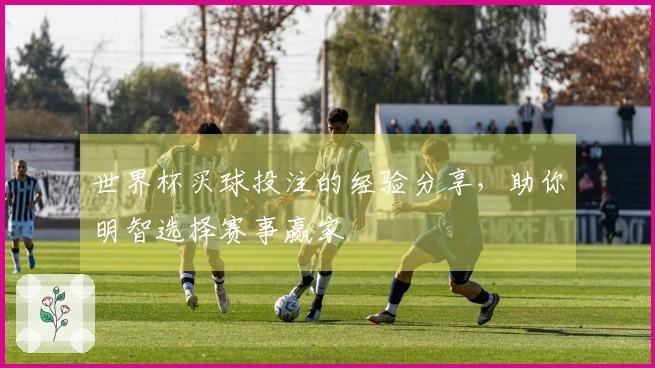 世界杯买球投注的经验分享,助你明智选择赛事赢家