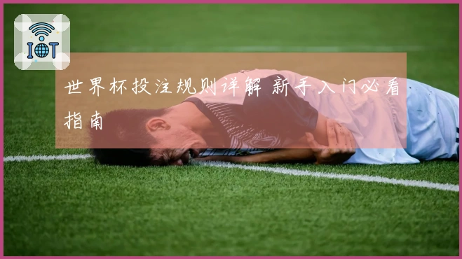 世界杯投注规则详解 新手入门必看指南