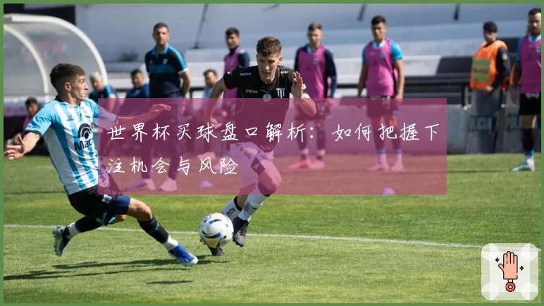 世界杯买球盘口解析：如何把握下注机会与风险