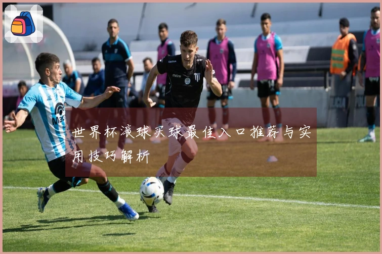 世界杯滚球买球最佳入口推荐与实用技巧解析