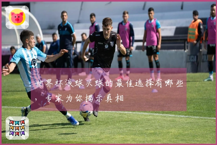 世界杯滚球买球的最佳选择有哪些，专家为你揭示真相
