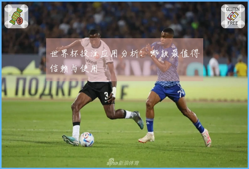 世界杯投注应用分析：哪款最值得信赖与使用