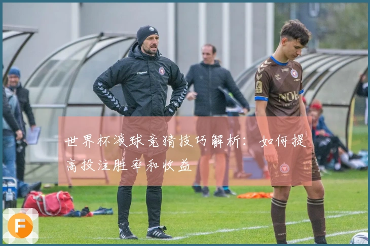 世界杯滚球竞猜技巧解析：如何提高投注胜率和收益