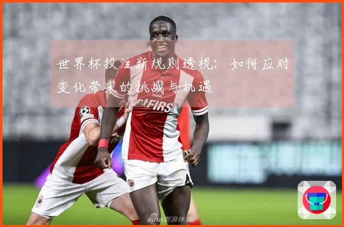 世界杯投注新规则透视：如何应对变化带来的挑战与机遇
