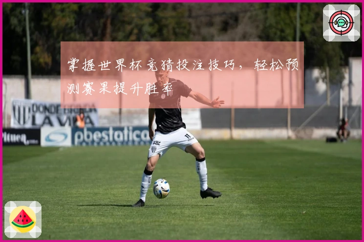 掌握世界杯竞猜投注技巧，轻松预测赛果提升胜率