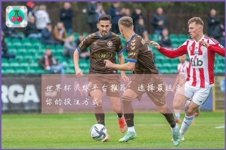 世界杯买球平台推荐：选择最适合你的投注方式