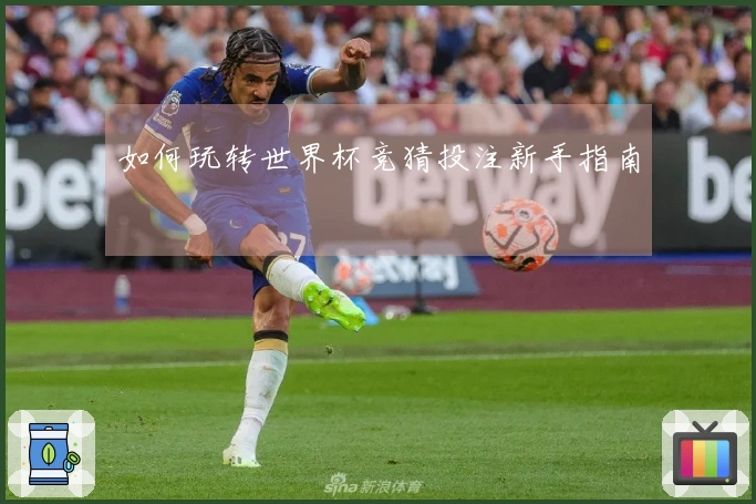 如何玩转世界杯竞猜投注新手指南