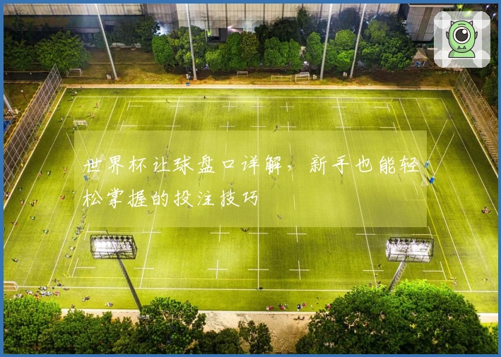 世界杯让球盘口详解，新手也能轻松掌握的投注技巧