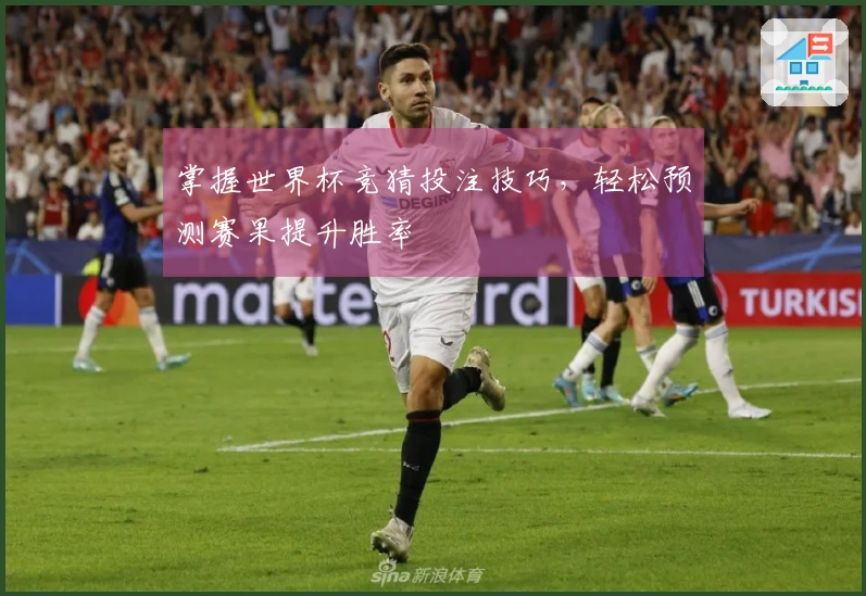 掌握世界杯竞猜投注技巧,轻松预测赛果提升胜率