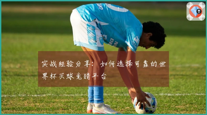 实战经验分享：如何选择可靠的世界杯买球竞猜平台