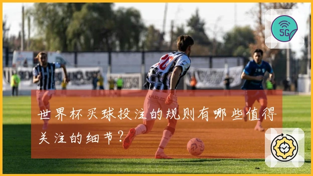 世界杯买球投注的规则有哪些值得关注的细节？