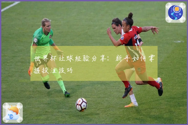 世界杯让球经验分享：新手如何掌握投注技巧