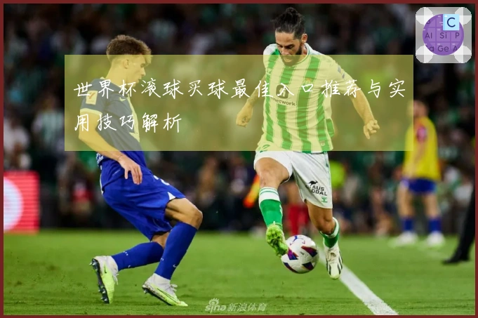世界杯滚球买球最佳入口推荐与实用技巧解析