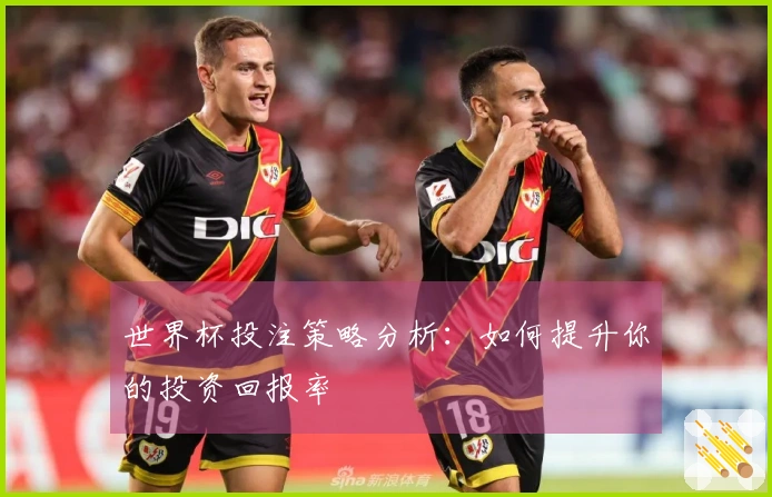 世界杯投注策略分析：如何提升你的投资回报率