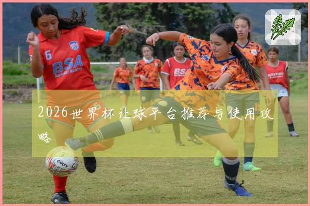 2026世界杯让球平台推荐与使用攻略