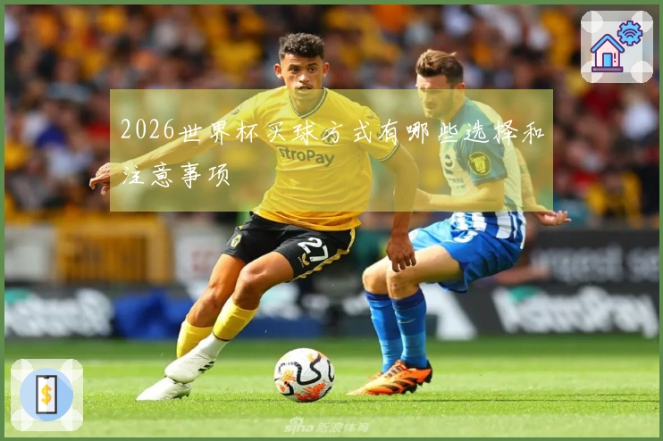 2026世界杯买球方式有哪些选择和注意事项