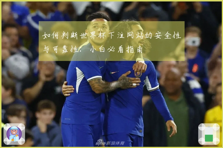 如何判断世界杯下注网站的安全性与可靠性：小白必看指南