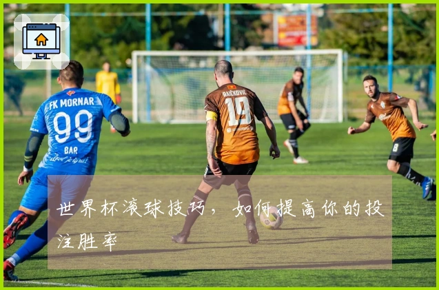 世界杯滚球技巧，如何提高你的投注胜率