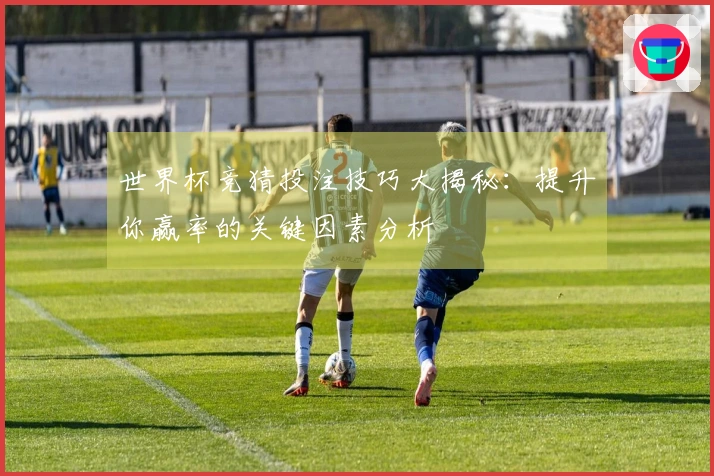 世界杯竞猜投注技巧大揭秘：提升你赢率的关键因素分析