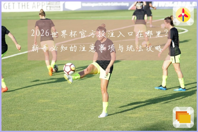 2026世界杯官方投注入口在哪里？新手必知的注意事项与玩法攻略